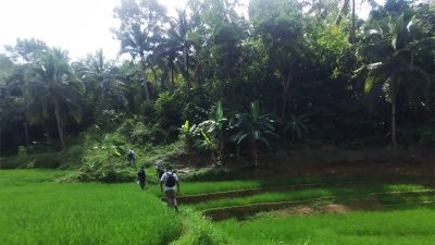 Desa Cintawangi