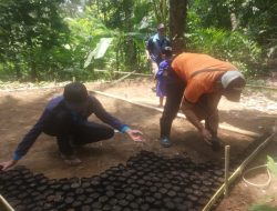 Zaman Belanda Dulu Legokkadu Tempat Mengungsi, Kini Jadi Pusat Pembibitan Pohon Aren