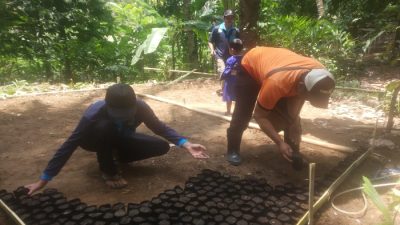Zaman Belanda Dulu  Legokkadu Tempat Mengungsi, Kini Jadi Pusat Pembibitan Pohon Aren