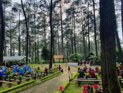 Rekomendasi Tempat Wisata Keluarga di Lembang  Orchid Forest, Ini 5 Alasannya Harus Dikunjungi