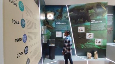 Museum Tambaksari Ciamis, Kaya dengan Ragam Temuan Fosil Binatang Laut Ribuan Tahun Lalu