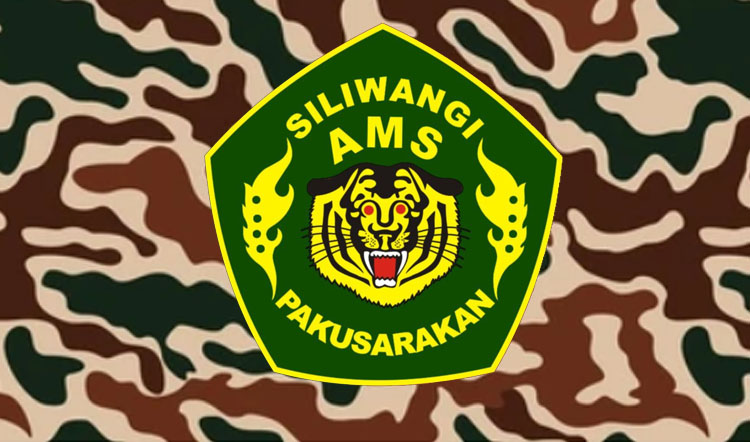 Logo AMS