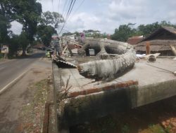 Kreatif Komunitas Ojek Bangun Monumen Buaya di Karangnunggal Tasela Sepanjang 12 Meter