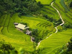 Jangan Sampai Terjadi Swasembada Pangan “On Trend”
