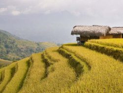 Konsultasi Publik, Bukan Sekedar Menggugurkan Kewajiban!