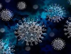 HMPV: Munculnya Virus Baru yang Makin Merebak, Mengancam Kesehatan Global