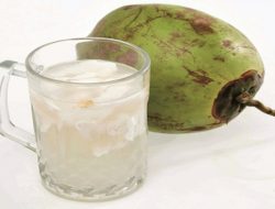 3 Manfaat Minum Air Kelapa, Pilihan Segar Saat Buka Puasa atau Sahur
