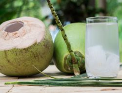 Kapan Waktu yang Cocok Minum Air Kelapa Saat Puasa dan Cara Pilih Air Kelapa yang Baik