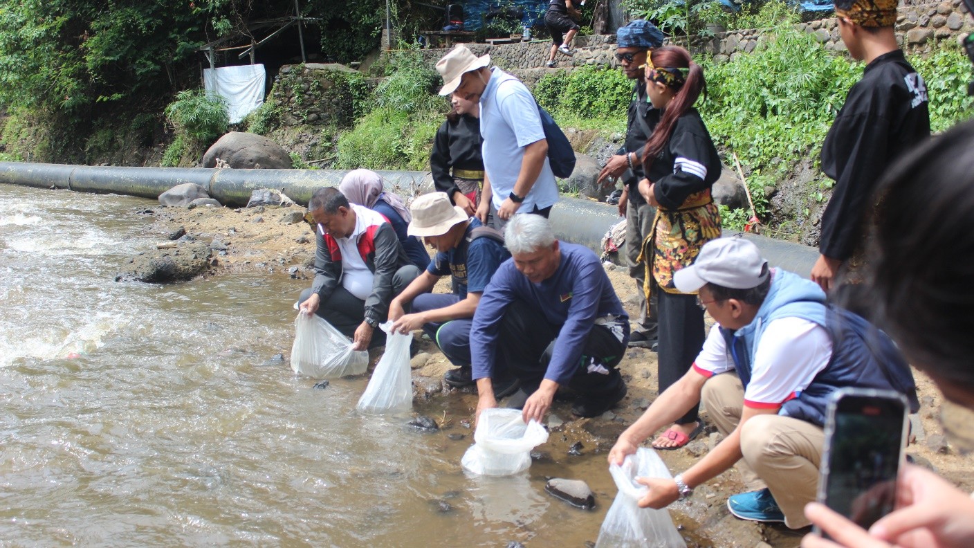 Gambar pelepasan ikan
