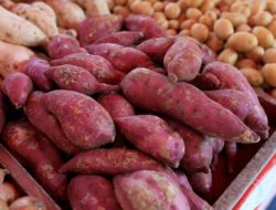 Hindari Konsumsi Jenis Ini untuk Berbuka Puasa Saran Pakar Gizi