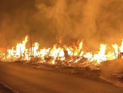 45 Kios Pedagang Kayu Sukahaji Ludes Dilalap Si Jago Api, Diskar Bandung Kerahkan 14 Mobil Damkar