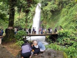 Kunjungan Libur Lebaran ke Situ Gunung Taman Nasional Gunung Pangrango Turun Dibanding Tahun 2024