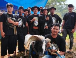 Ajang Silaturahmi, HPDKI Karawang Ramaikan Seni Adu Ketangkasan Domba Garut di Saguling