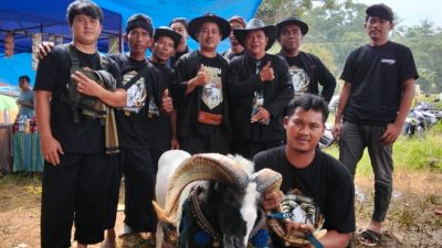 Ajang Silaturahmi, HPDKI Karawang Ramaikan Seni Adu Ketangkasan Domba Garut di Saguling