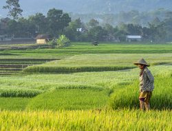 Data Tunggal Kemiskinan