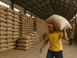 Penyimpanan Gabah ‘Any Quality’ : Ujian Berat Bagi Perum Bulog