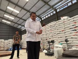 Lestarikan Cadangan Beras