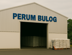 Mempertanyakan Transformasi Perum Bulog