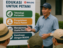 Memerankan Bulog Sebagai “Guru” Petani
