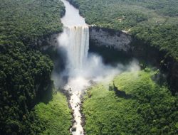 Hebatnya Guyana Memenuhi Tujuh Kategori Utama Pangan Jika Terjadi Krisis Pangan