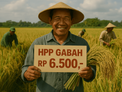 Berapa Pantasnya HPP Gabah?