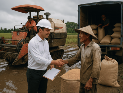 Posisi “Offtaker” dalam Tata Niaga Gabah
