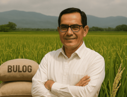 Peran Bulog Menuju Swasembada Beras Berkelanjutan