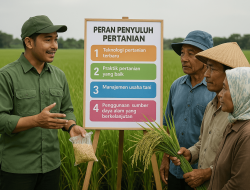 Ketika Penyuluh Pertanian Mengedukasi Petani