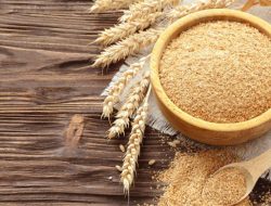 Merefleksi Ulang Standar Pangan Nasional: Bekatul, Estetika Premium, dan Ancaman Kesehatan Publik