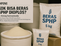 KOK BISA BERAS SPHP DIOPLOS ?
