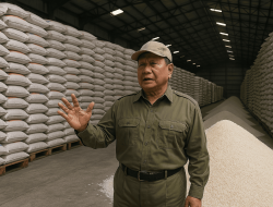 Cadangan Pangan Berkualitas