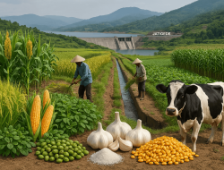 Bahayanya Swasembada Pangan “On Trend”