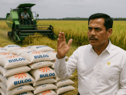Target Penyerapan : Dari 3 Jadi 4,5 Juta Ton Setara Beras