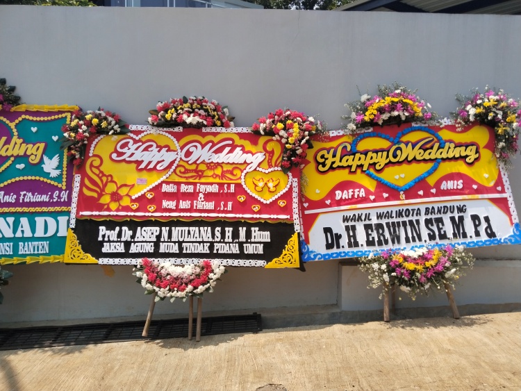 pernikahan daffa dengan anis