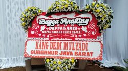 Bunga Daffa Anis (18)