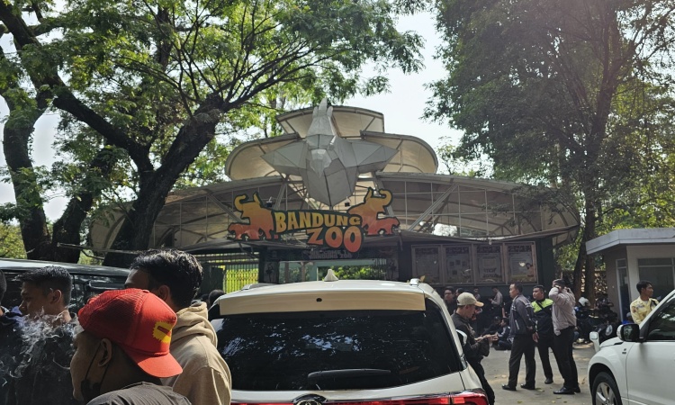 bandung zoo