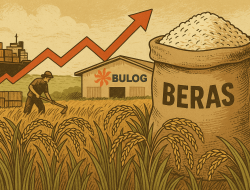 Beras = Misteri Kehidupan?