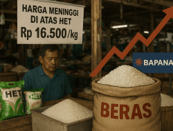 Biang Keladi Harga Beras Melejit Diatas HET