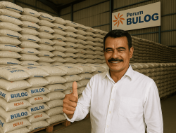 Dibalik Stok Beras Pemerintah  4,2 Juta Ton