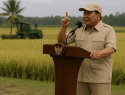 Swasembada Beras Musiman!