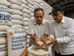 Jaminan Bulog : Beras SPHP Bebas Kutu