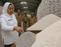Kok Bisa, Ada Beras Berwarna Abu-Abu di Gudang Bulog