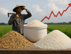 Turunnya Harga Beras, Jangan Sampai Menurunkan Harga Gabah