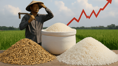 Turunnya Harga Beras, Jangan Sampai Menurunkan Harga Gabah