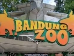 Forum Komunikasi Kader Konservasi Indonesia (FK3I) Menolak Indikasi Penggusuran Lahan Bandung Zoo Tanpa Mempertimbangkan Satwa di Dalamnya