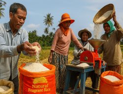 Ketika Petani Mampu Mengolah Gabah Menjadi Beras