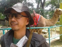 Bandung Zoo Keluar PKBSI — Pengelola Nilai Perhimpunan Tidak Berperan dalam Pengembangan Kebun Binatang