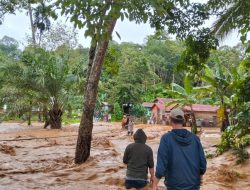 Korban Meninggal Dunia Akibat Bencana Hidrometeorologi di Aceh, Sumatra Utara dan Sumatra Barat Menjadi 604 Jiwa