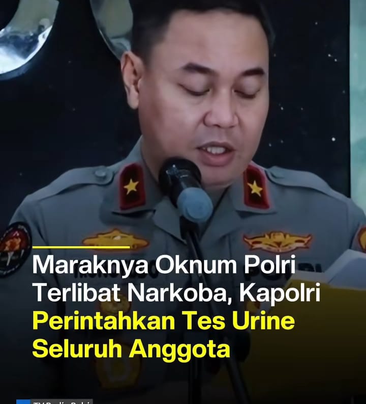 Tes Urine Independen