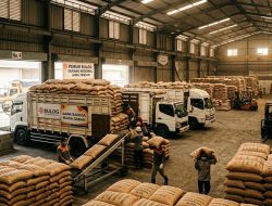 Politisasi Penyerapan Gabah